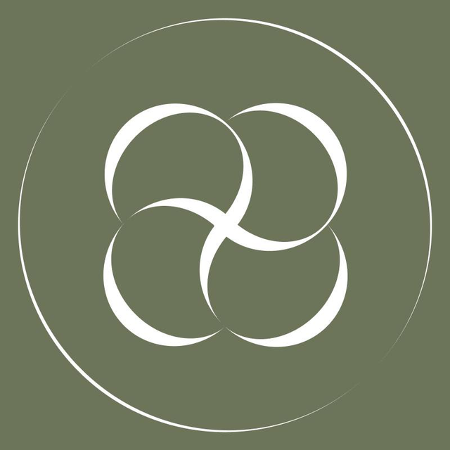 BERLOOK logo