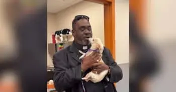 Lost Dog Returns Home After Fireworks Fright, Microchip Leads Rescue