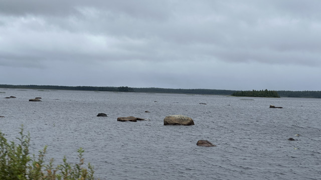 IMG 5009.jpg
