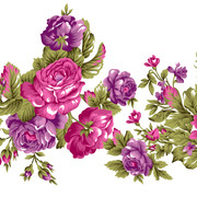 shutterstock 1135042892