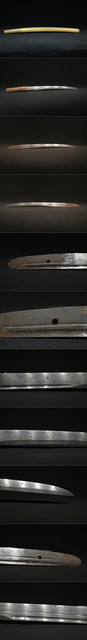 DSC3362.jpg