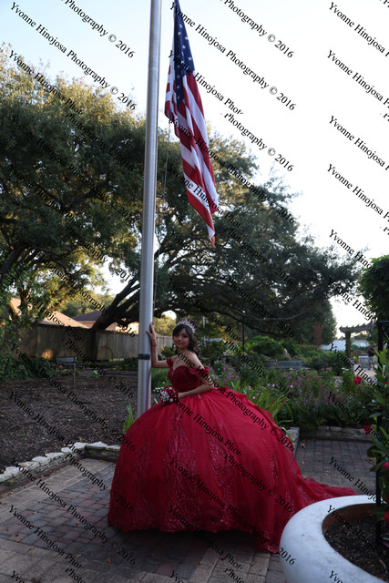 IMG 2548