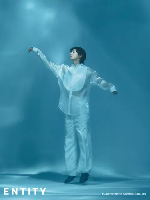 cha eun woo 1314980