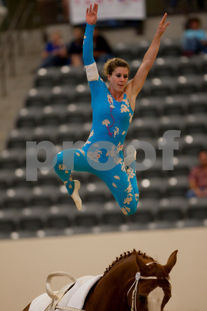 EQUINE VOLTIS76
