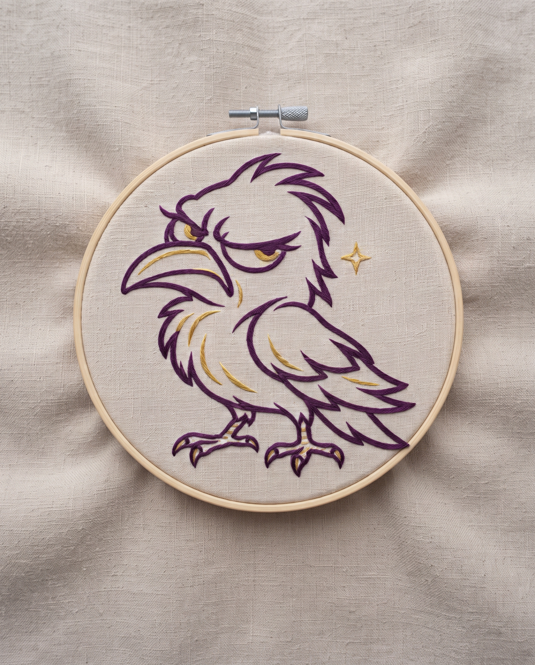 Grumpy Crow & Stars project image