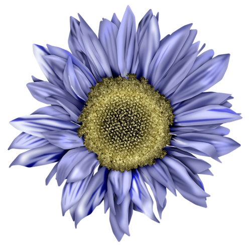 FM-Fl-W-Element-53.png
