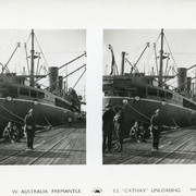 CScope Australia 001