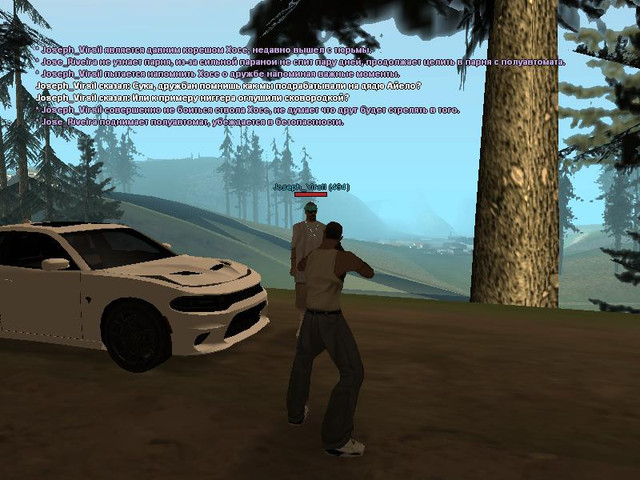 gallery35.jpg