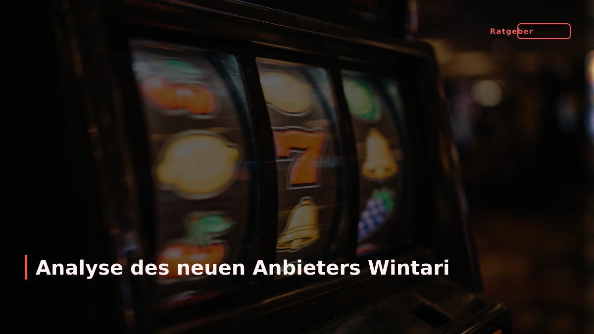 Analyse des neuen Anbieters Wintari