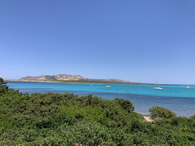 IMG-2844