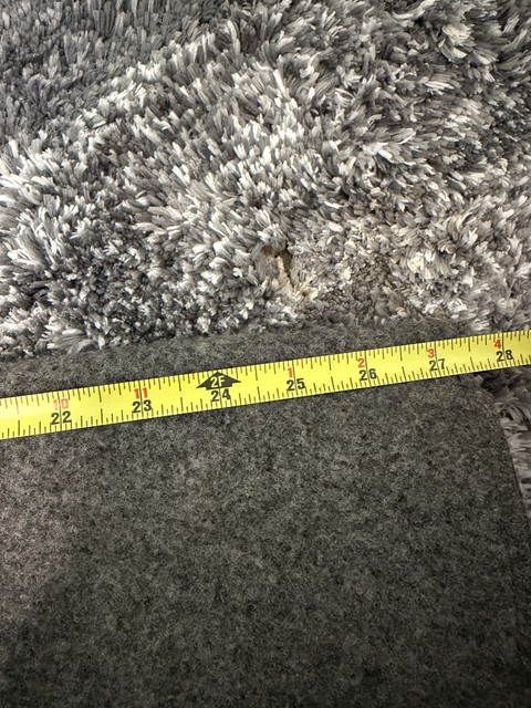 IMG 7954