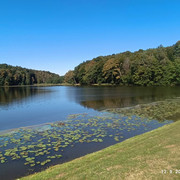 IMG 3694