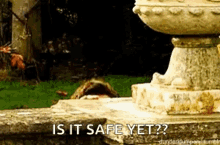[Image: IMG-4946.gif]