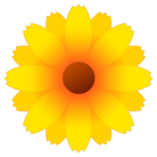 blossom-1f33c
