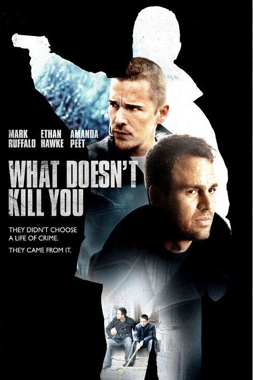 Co cię nie zabije / What Doesn't Kill You (2008) PL.720p.BRRip.H264-BP007 / Lektor PL