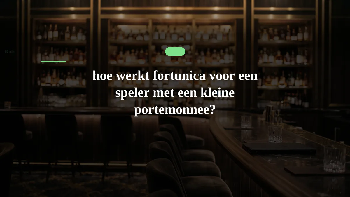 hoe werkt fortunica voor een speler met een kleine portemonnee?