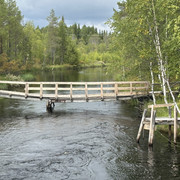 IMG 5578