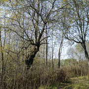 DSC7535