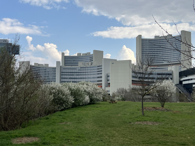 IMG-8744.jpg
