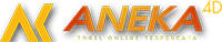 Aneka4D Logo