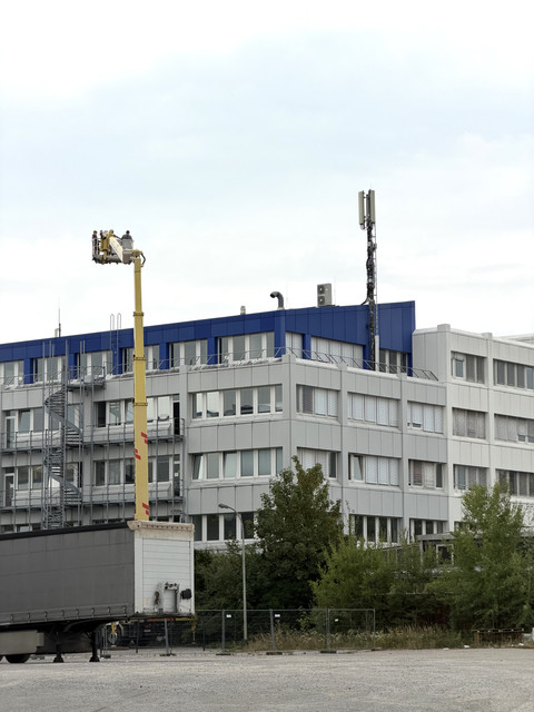 IMG 7356