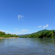 DSC05961