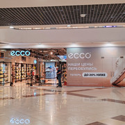 Аврора 07.06.2026