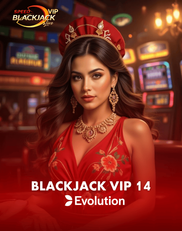 Blackjack VIP 14