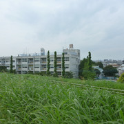 P1150969