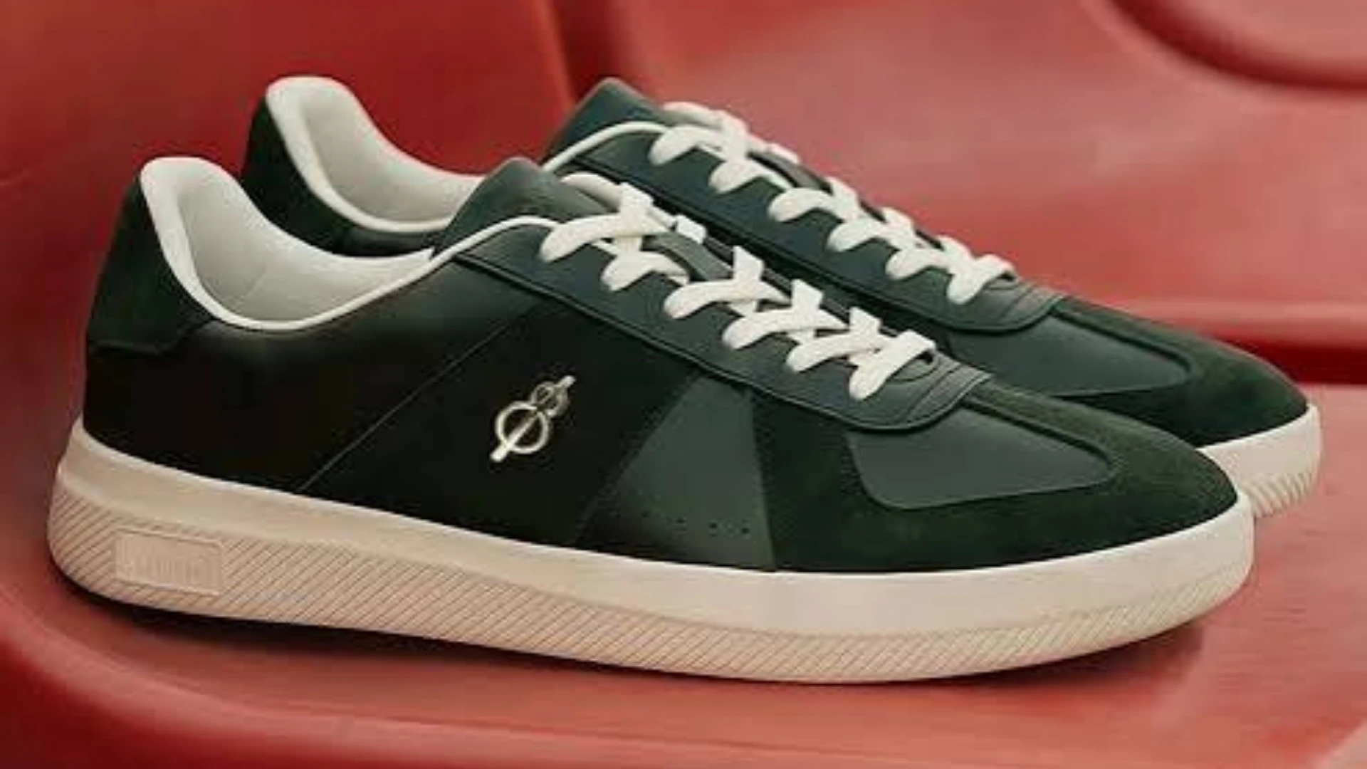 shoe