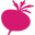 The Maca Team logo