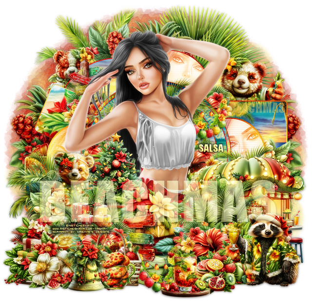 Salsa Beachmastag vi.png