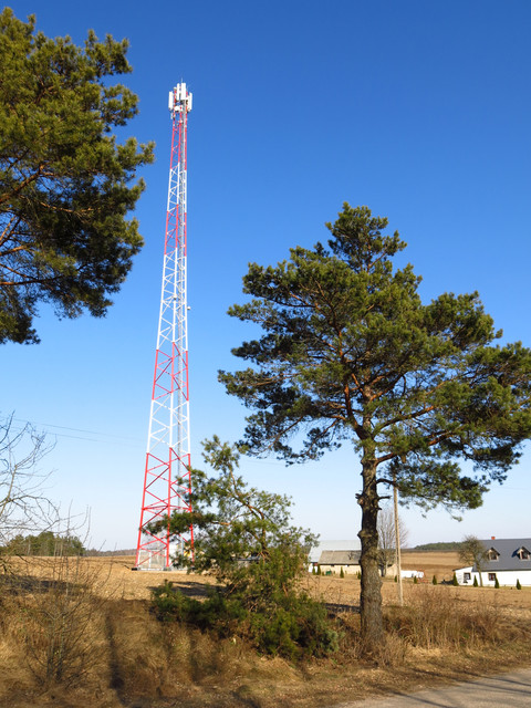 IMG-3596