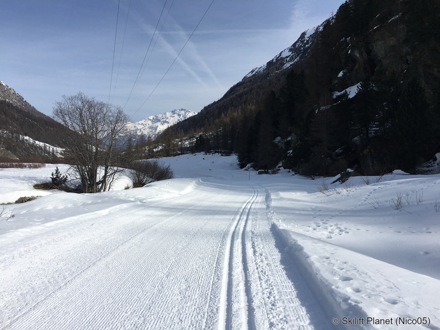 IMG-8831.jpg