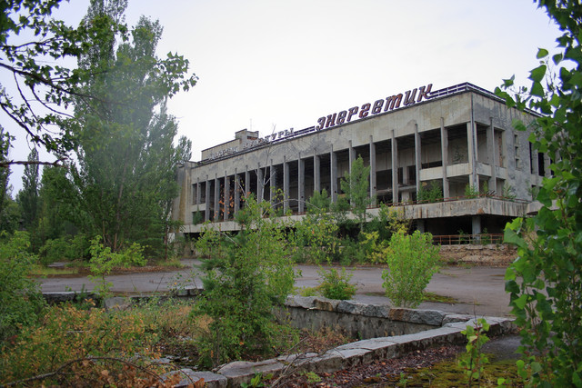 IMG-6017.jpg