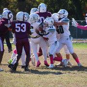 IMG-4446