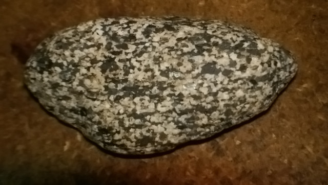 IMAG0185
