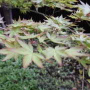 P1230889