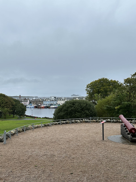 IMG-6371