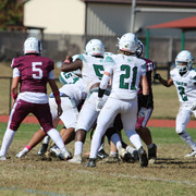 IMG-8203