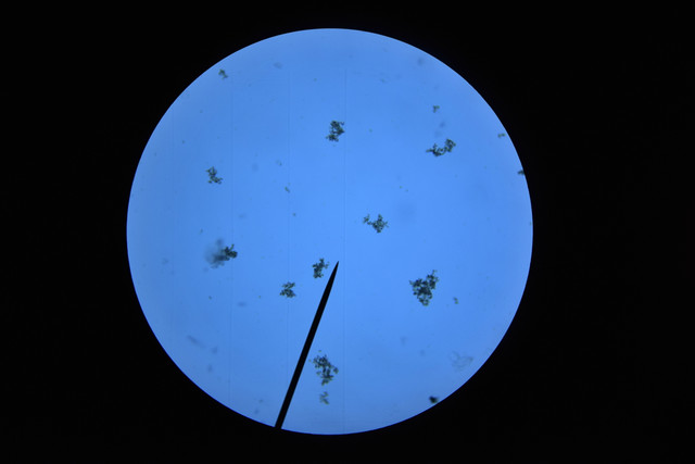 CSC 0554
