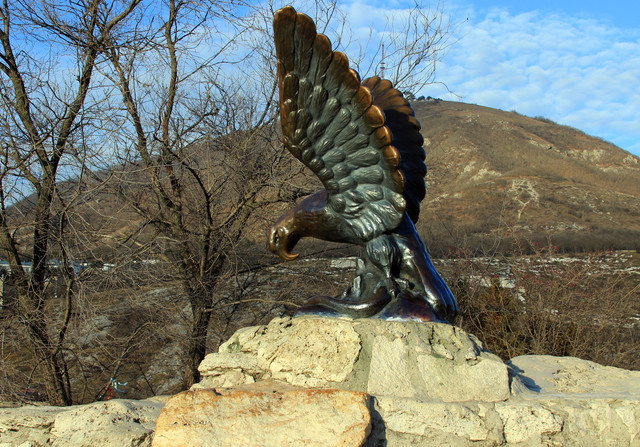 IMG-0963.jpg