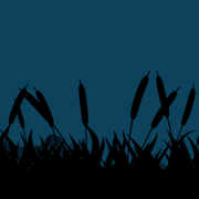 Modern-Grass1