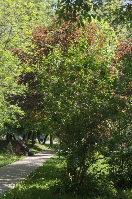 DSC3874.jpg