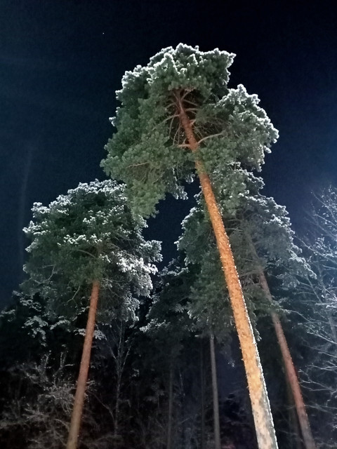 IMG20250101013223