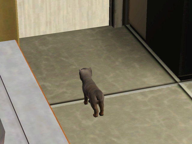 Screenshot-139