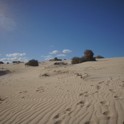 DSC01217
