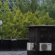 DSC5464