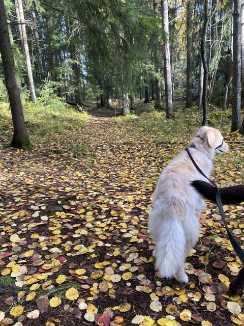 32848870-91-EB-4590-AD6-D-047-BA95-D2-D5