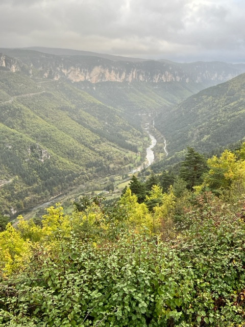 IMG-4348.jpg